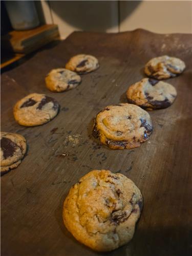 Chocolate and Walnut Cookies